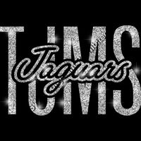 GLT95 SILVER GLITTER Thumbnail