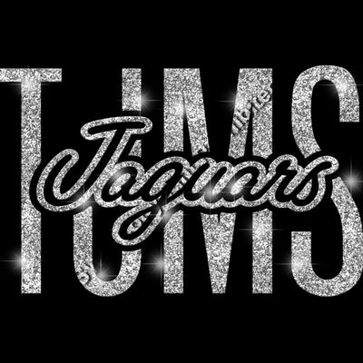 GLT95 SILVER GLITTER Thumbnail